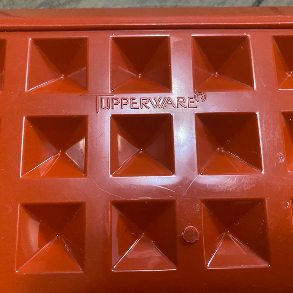 Vintage Tupperware-Ref Color-Deli Bacon Hot Dog Keeper‎ Storage